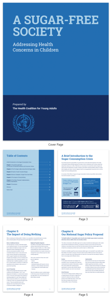 20+ White Paper Examples (Design Guide + Templates) within White Paper Report Template