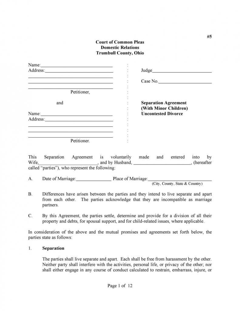 43 Official Separation Agreement Templates / Letters / Forms throughout Common Law Separation Agreement Template