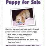 76 Online Puppy For Sale Flyer Templates Download With Puppy with regard to Puppy For Sale Flyer Templates