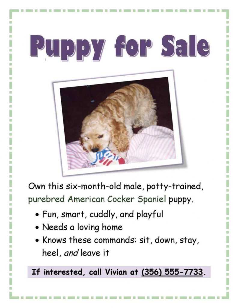 76 Online Puppy For Sale Flyer Templates Download With Puppy with regard to Puppy For Sale Flyer Templates