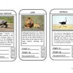 Animal Top Trumps Game - English Esl Powerpoints For throughout Top Trump Card Template