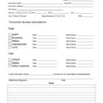 Dog Shot Record - Fill Online, Printable, Fillable, Blank with Dog Vaccination Certificate Template
