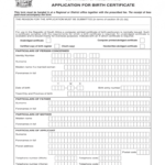 Form Bi 154 - Fill Out And Sign Printable Pdf Template | Signnow inside South African Birth Certificate Template