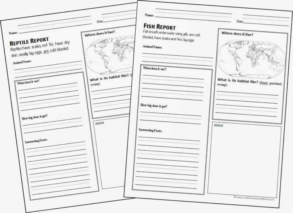 Free Animal Report Template with Animal Report Template