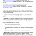 Free Software Development Non-Disclosure Agreement (Nda for Standard Confidentiality Agreement Template