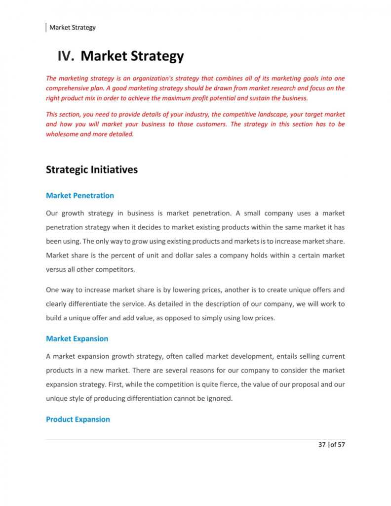 Home Health Care Business Plan Template Sample Pages – Black pertaining to Health Care Business Plan Template