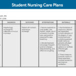 Nursing Care Plan (Ncp): Ultimate Guide And Database inside Nursing Care Plan Template Word