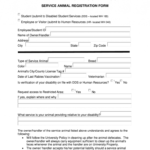 Service Dog Certificate Pdf - Fill Out And Sign Printable Pdf Template |  Signnow with regard to Service Dog Certificate Template